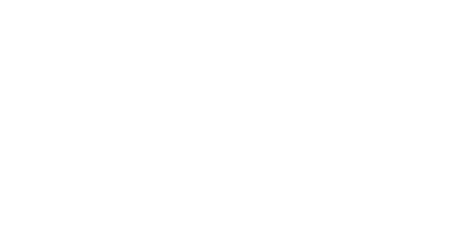 Logo Peaky Nuts